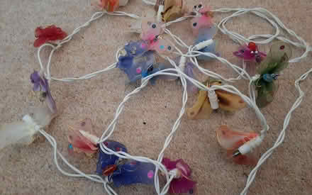 Photo of free Butterfly fairy lights (South Acton) #1