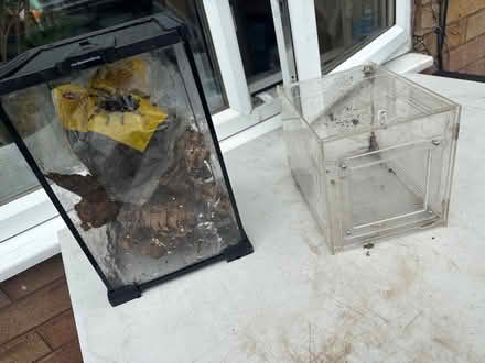 Photo of free Spider or insect viv (Worcester WR5) #1