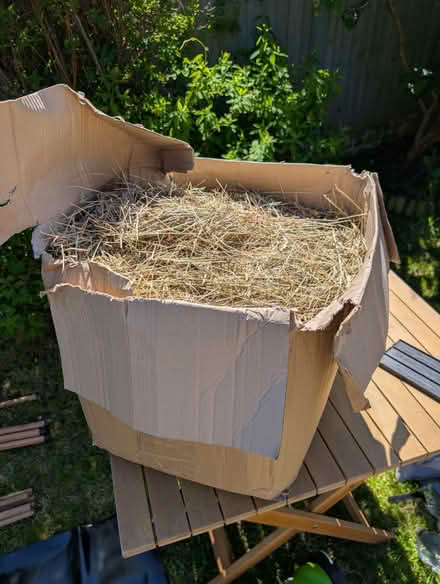 Photo of free Box of feeding hay (Court Hey L14) #1