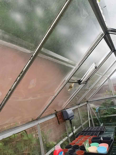 Photo of free Green house (hemel hempstead) #2