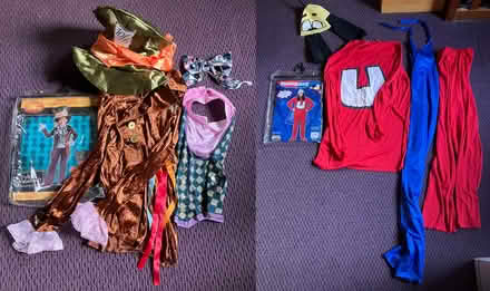 Photo of free 5 Halloween costumes (North Berkeley) #2