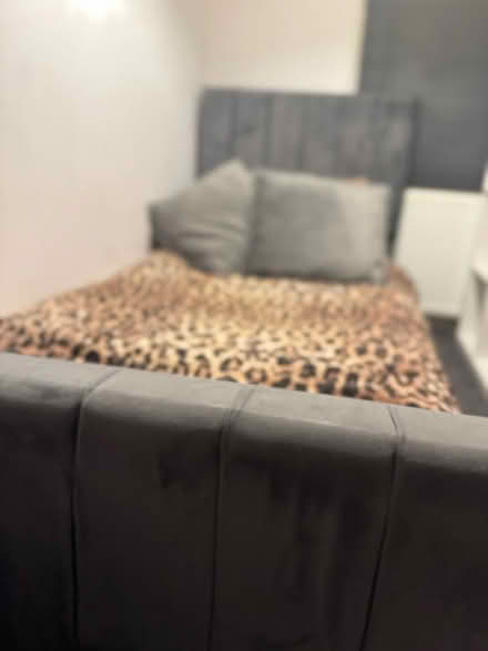 Photo of free Single bed with optional mattress (Sheffield S8 woodseats) #3