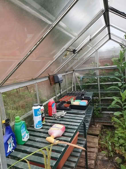 Photo of free Green house (hemel hempstead) #4