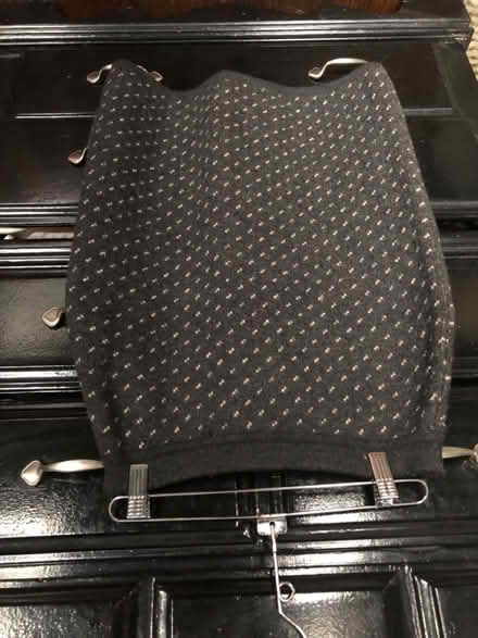 Photo of free Winter skirt (Leslieville) #1