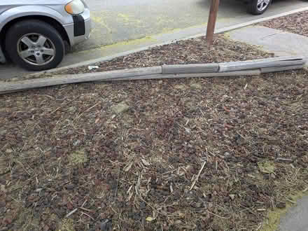 Photo of free 2-3x4x7 ft (Front range area) #1