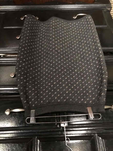 Photo of free Winter skirt (Leslieville) #1