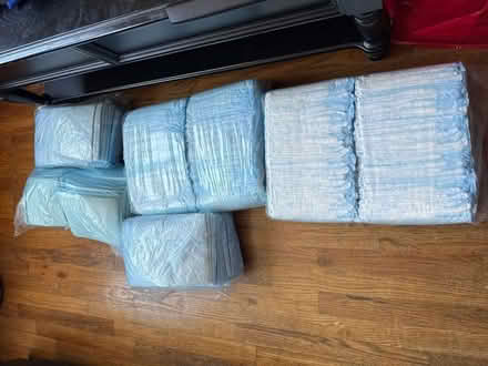 Photo of free Pads for the elderly or dogs (Clason Point Bronx NY) #1