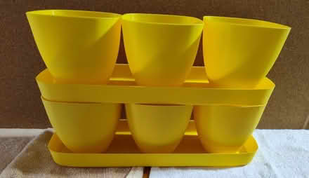 Photo of free Two 3-pod planters with drain tray (Saugus) #1