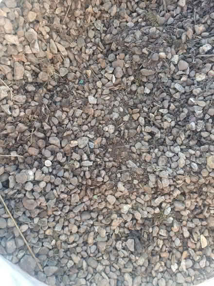 Photo of free Garden Stones (Arnold, Nottingham NG5) #2