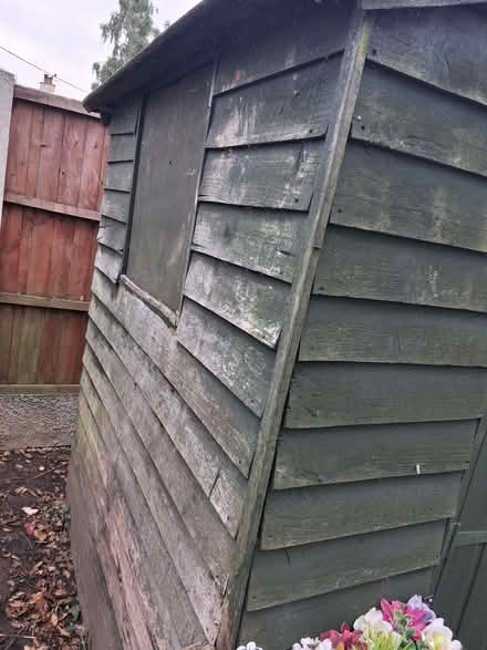 Photo of free Garden shed (Hadleigh SS7) #1