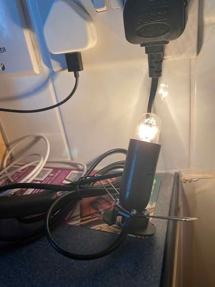 Photo of free Lamp fitting and bulb never used (Gospel Oak NW5) #1