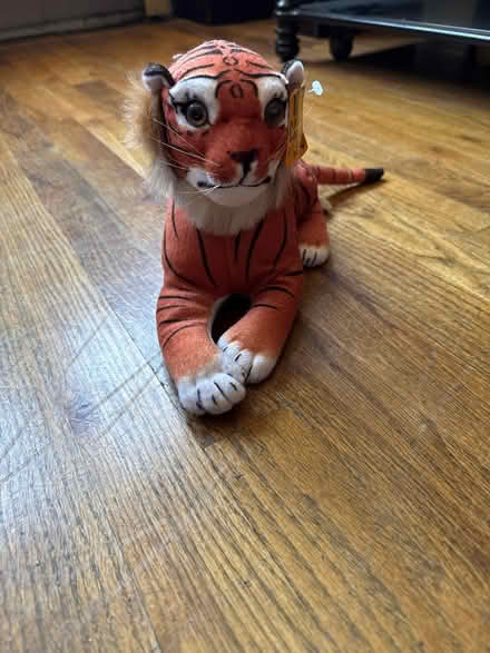 Photo of free Bengal Tiger Stuffie (Clason Point Bronx NY) #1