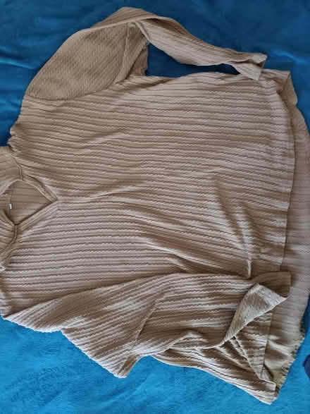 Photo of free Brown Top (Bed-stuy) #2