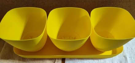 Photo of free Two 3-pod planters with drain tray (Saugus) #3