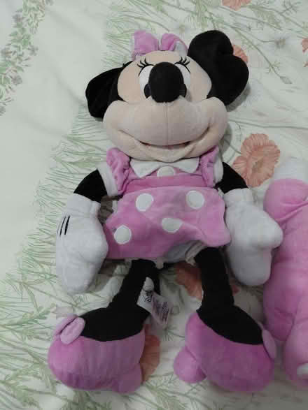 Photo of free Two soft toys Minnie Mouse & Dinosaur (Wotton Pitch GL2) #4