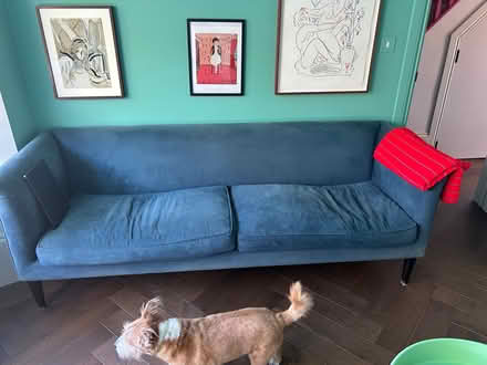 Photo of free Blue velvet sofa (Plumstead SE18) #2