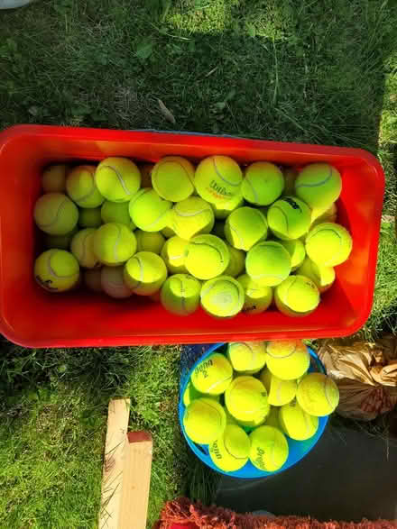 Photo of free Tennis Balls at the Curb (Erin Mills) #1