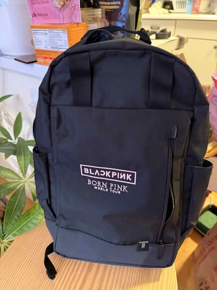Photo of free Black Pink Backpack, Sticker Poster (Sunnyvale (Wolfe)) #1