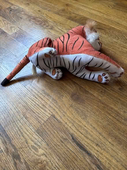 Photo of free Bengal Tiger Stuffie (Clason Point Bronx NY) #3