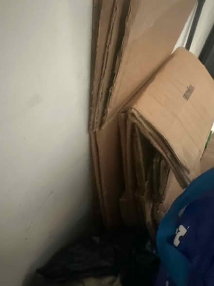Photo of free Moving boxes in good cond (Se6 2ha) #3