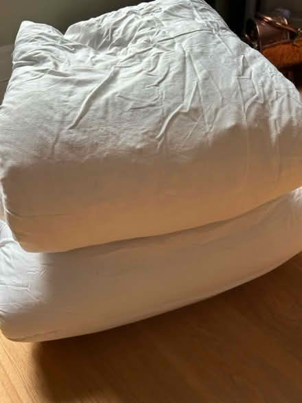 Photo of free Single & Double Duvets (Over CB24) #1