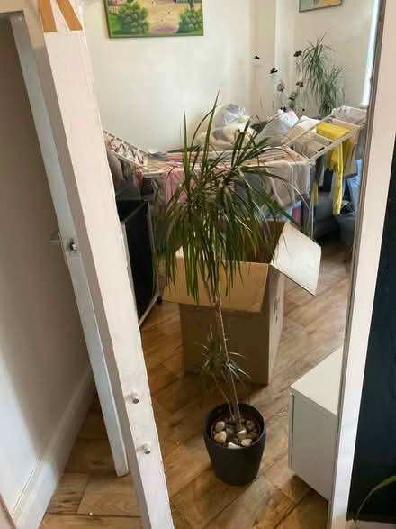 Photo of free Cabinet with mirror lost of space (N19) #2