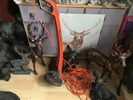Photo of free Lawn stimmer (Farnborough Hampshire GU14) #1
