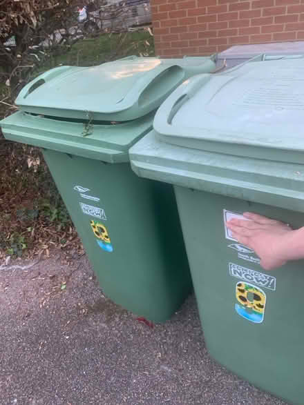 Photo of free green bin (LU5) #1