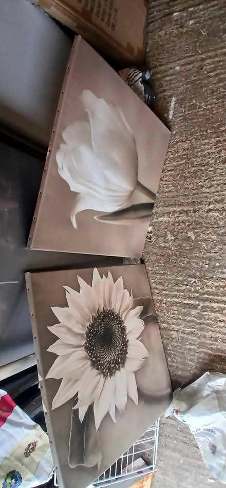 Photo of free X2 sepia flowers canvases (Heelands MK13) #1
