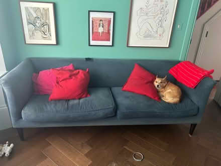 Photo of free Blue velvet sofa (Plumstead SE18) #1