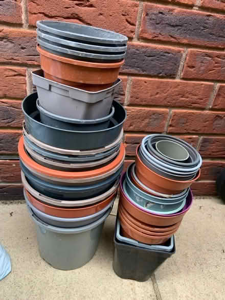 Photo of free Plastic Plant Pots (Christchurch) #3