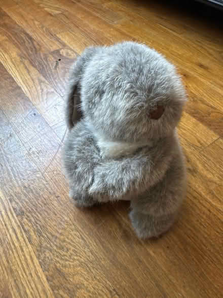 Photo of free Grey Bunny Stuffie (Clason Point Bronx NY) #1