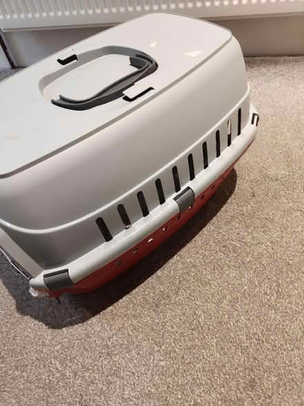 Photo of free Cat carrier (Ballynafoy BT7) #1