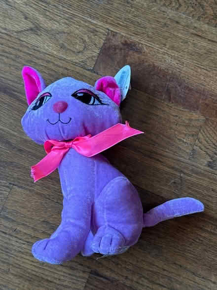 Photo of free Purple Cat Stuffie (Clason Point Bronx NY) #1