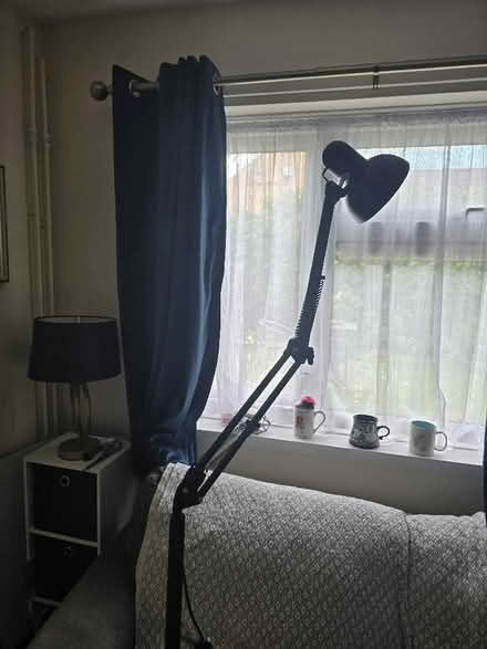 Photo of free Tall black lamp (Foxwood YO24) #1