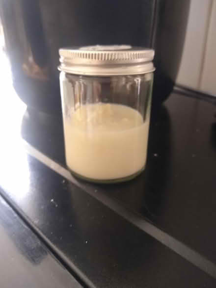 Photo of free Kefir grains (Newtown RG1) #1