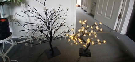 Photo of free Light up trees x2 (Heelands MK13) #2