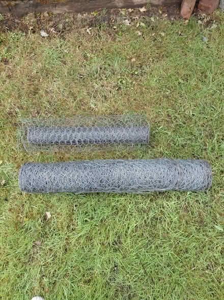 Photo of free Chicken wire (Twyford RG10) #1