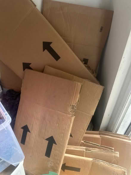 Photo of free Moving boxes in good cond (Se6 2ha) #2