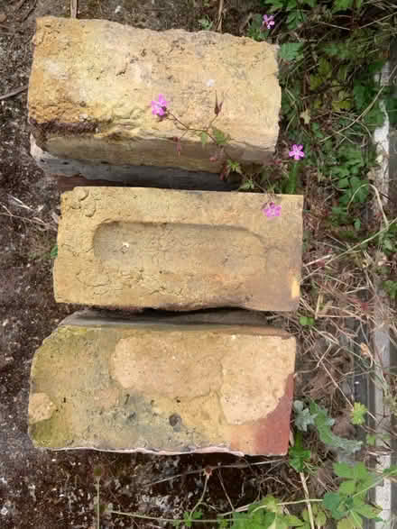 Photo of free Few assorted bricks (Hampton Hill) #1