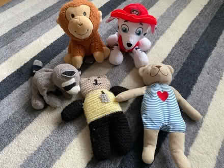 Photo of free Small soft toys (Purbrook PO7) #1