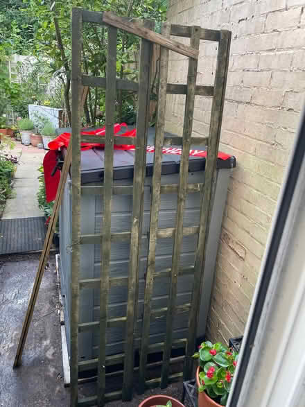 Photo of free Trellis (Reading West RG1) #1