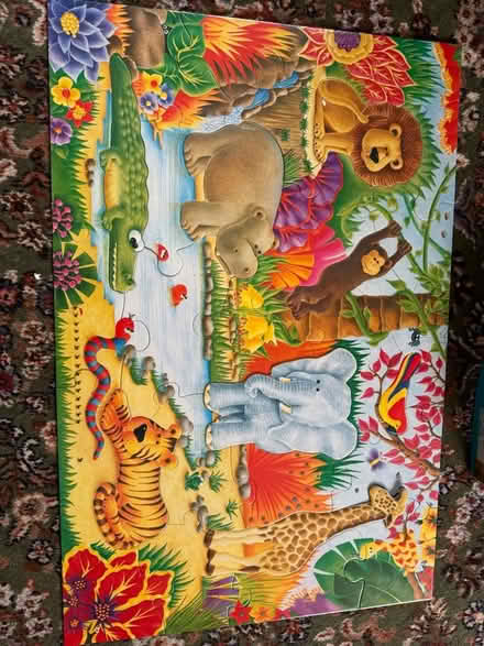 Photo of free Two Giant Floor Puzzles (Darby Green GU46) #3