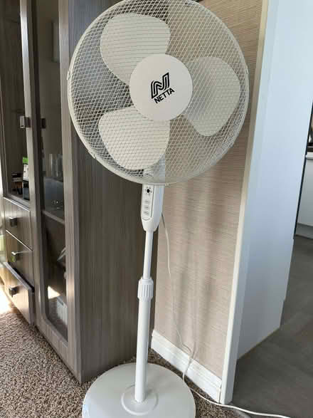 Photo of free Pedestal fan (Little Birch HR2) #1