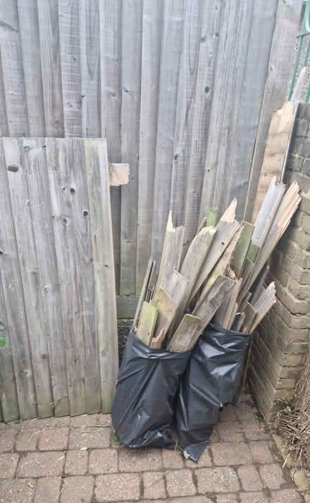 Photo of free Dismantled fence panel (Bromley BR1) #1