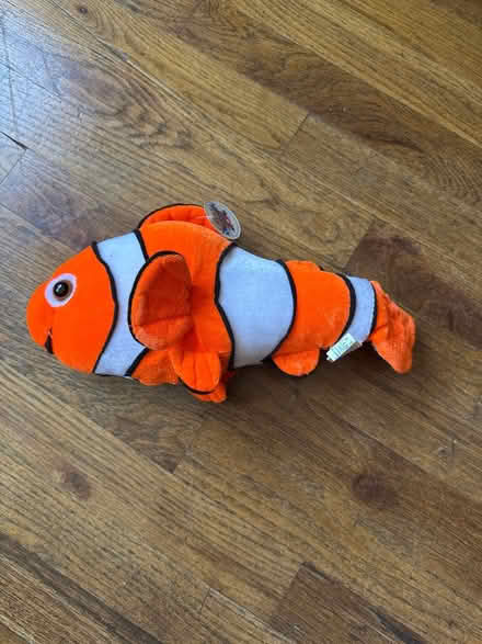 Photo of free Nemo Stuffie (Clason Point Bronx NY) #1