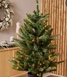 Photo of free Christmas Tree (HX2) #1