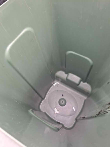 Photo of free Regular size green wheelie bin (Swanley BR8) #2