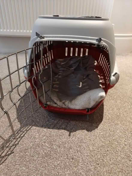 Photo of free Cat carrier (Ballynafoy BT7) #3