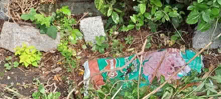 Photo of free Garden stones (Killester) #3